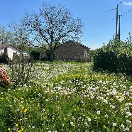 Le Petit `a Cariad La Rebeuse Appartement Corgnac-sur-l'Isle
