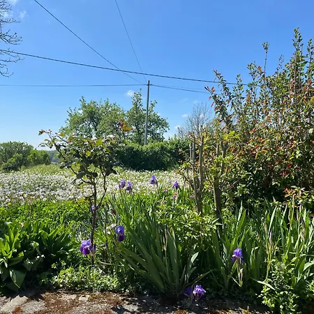 L'atelier Aux Fleurs Sauvages Rebeuse Full Of Nature Apartment Corgnac-sur-l'Isle