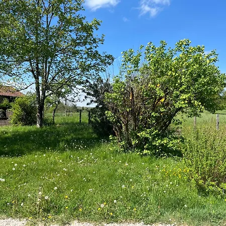 L'atelier Aux Fleurs Sauvages Rebeuse Full Of Nature Corgnac-sur-l'Isle
