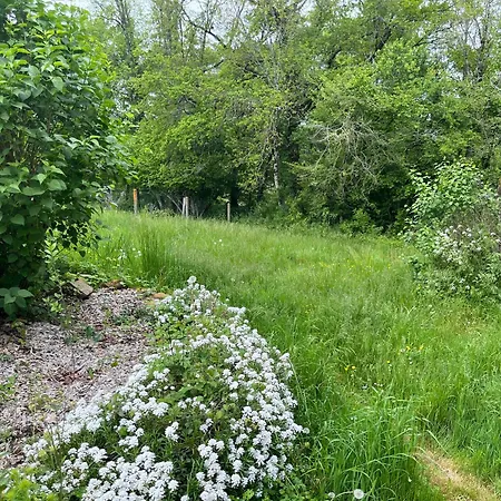 L'atelier Aux Fleurs Sauvages Rebeuse Full Of Nature * Corgnac-sur-l'Isle