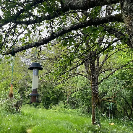 L'atelier Aux Fleurs Sauvages Rebeuse Full Of Nature Corgnac-sur-l'Isle