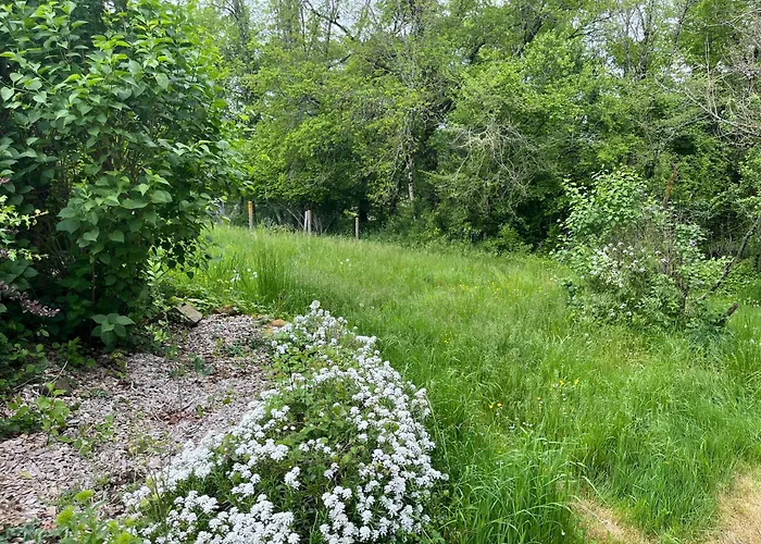 L'atelier Aux Fleurs Sauvages Rebeuse Full Of Nature * Corgnac-sur-l'Isle