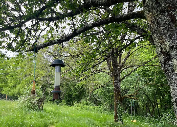 L'atelier Aux Fleurs Sauvages Rebeuse Full Of Nature Corgnac-sur-l'Isle